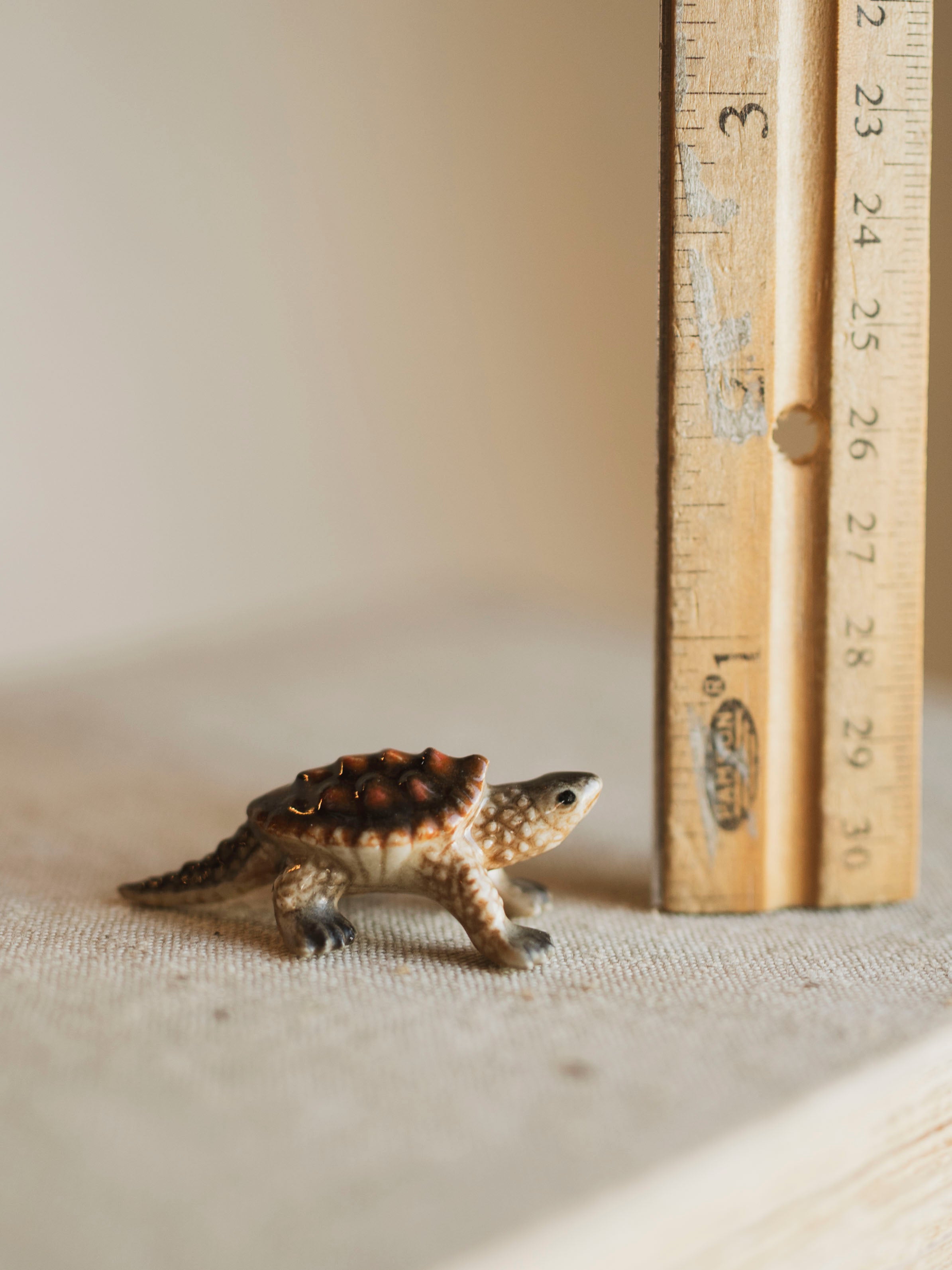 Mini Porcelain Snapping Turtle, CA1372