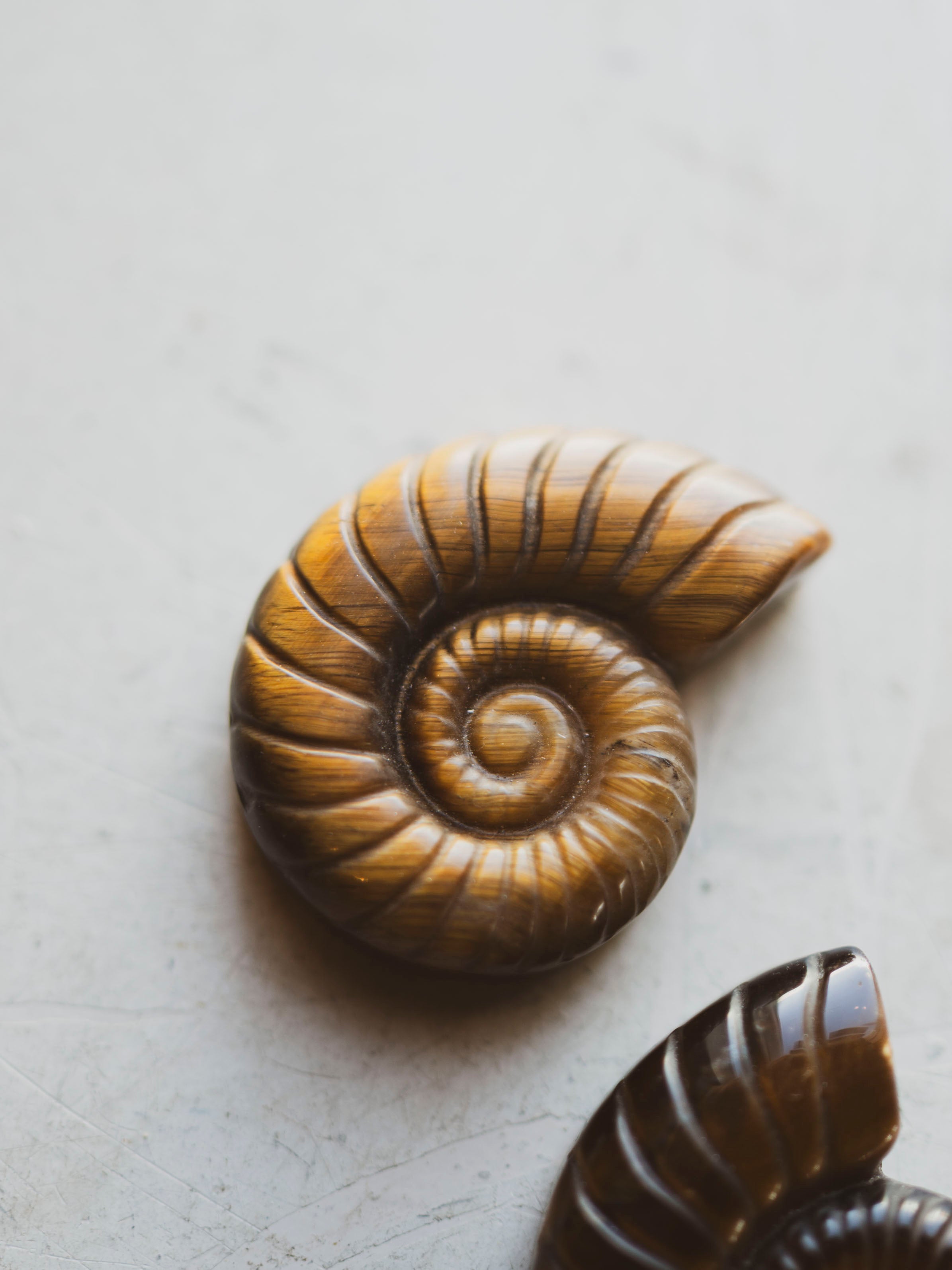 Carved Tiger's Eye Ammonite, RM1