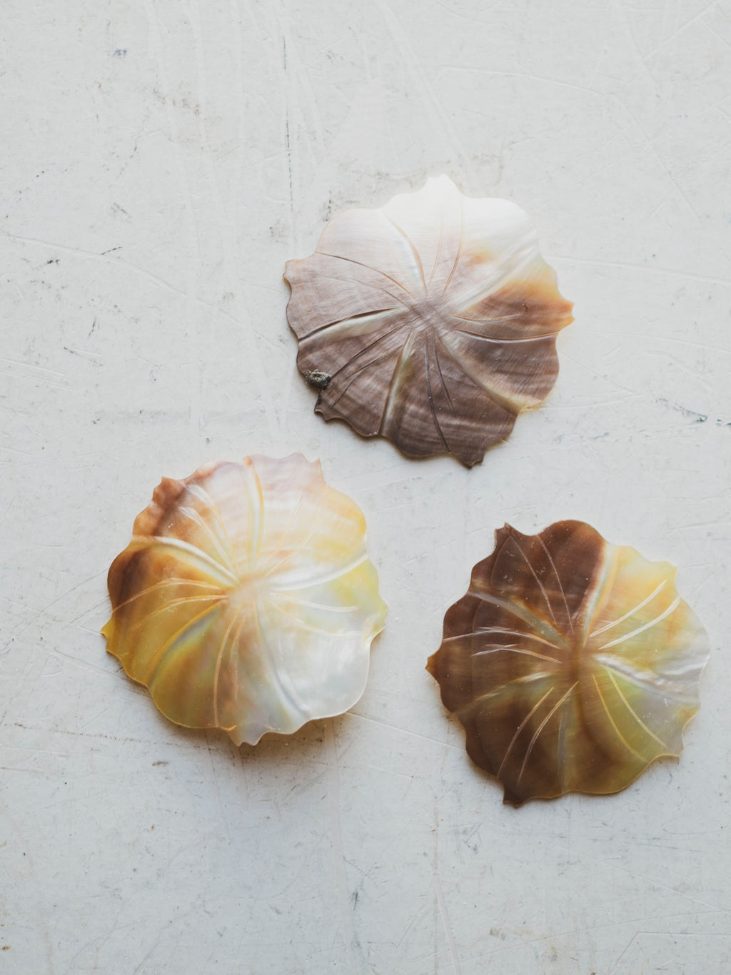 2" Carved Abalone Shell "Flower", NA515