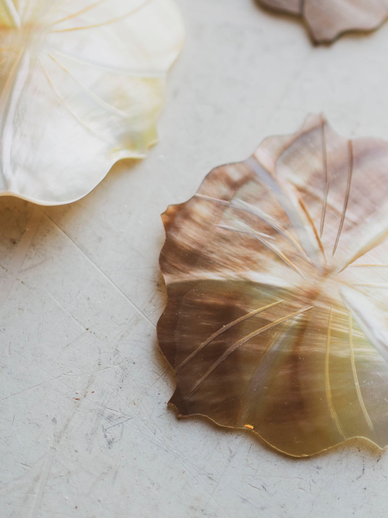 2" Carved Abalone Shell "Flower", NA515
