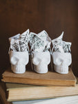 Mystery Bone Bucket, SB1253