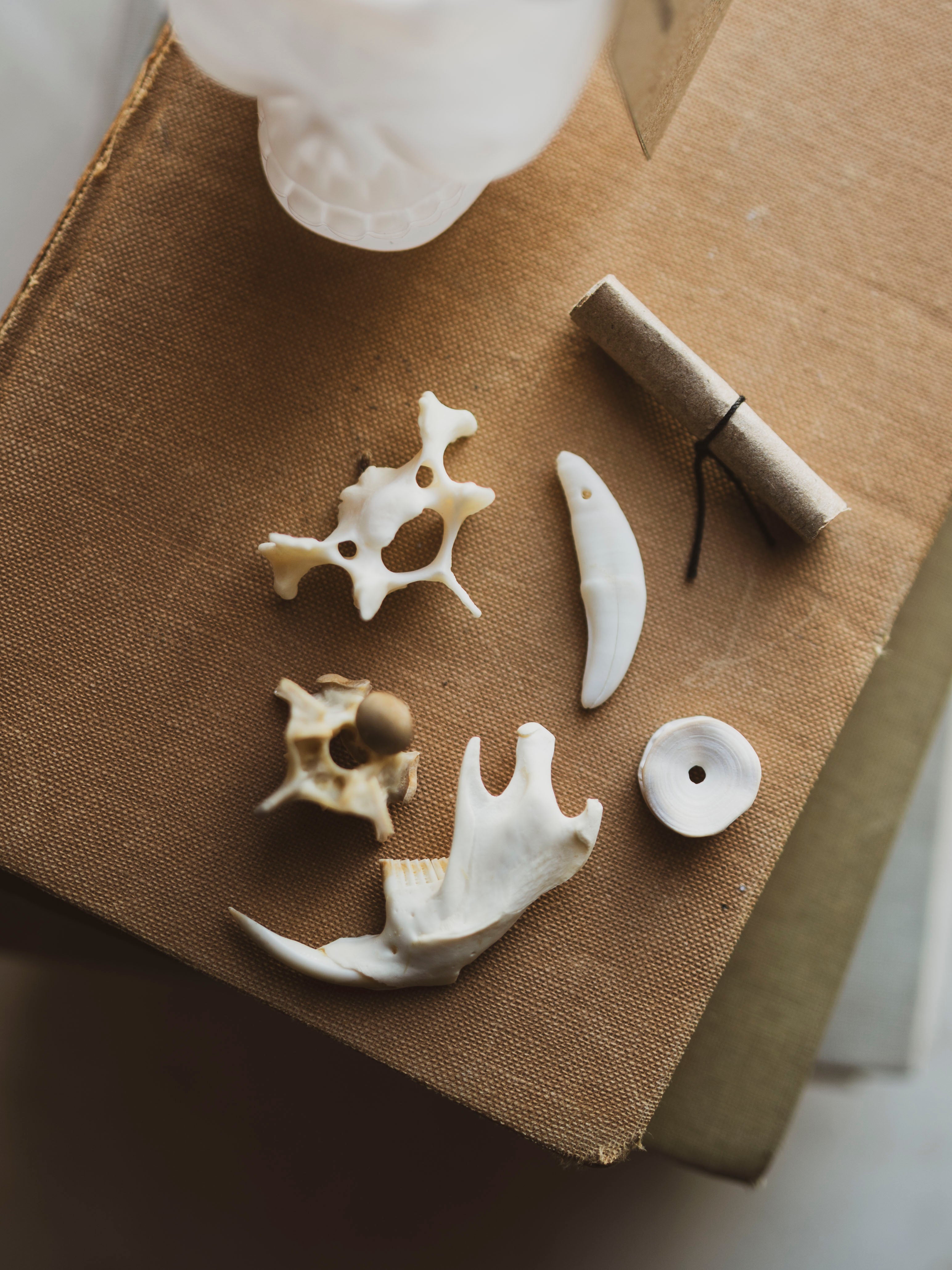 Mystery Bone Bucket, SB1253