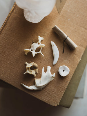 Mystery Bone Bucket, SB1253