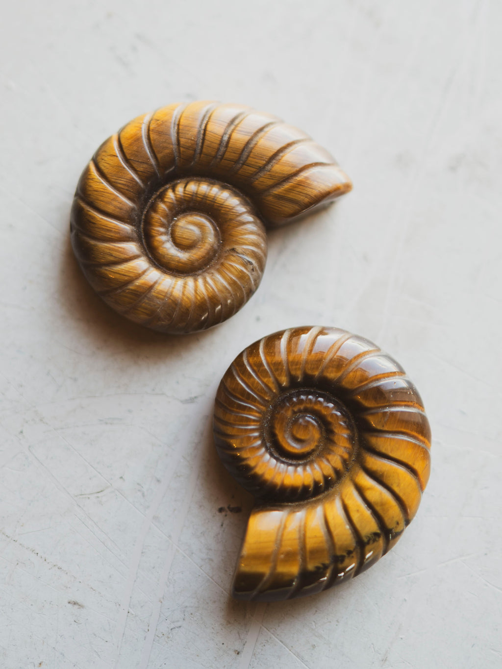 Carved Tiger's Eye Ammonite, RM1