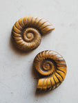 Carved Tiger's Eye Ammonite, RM1