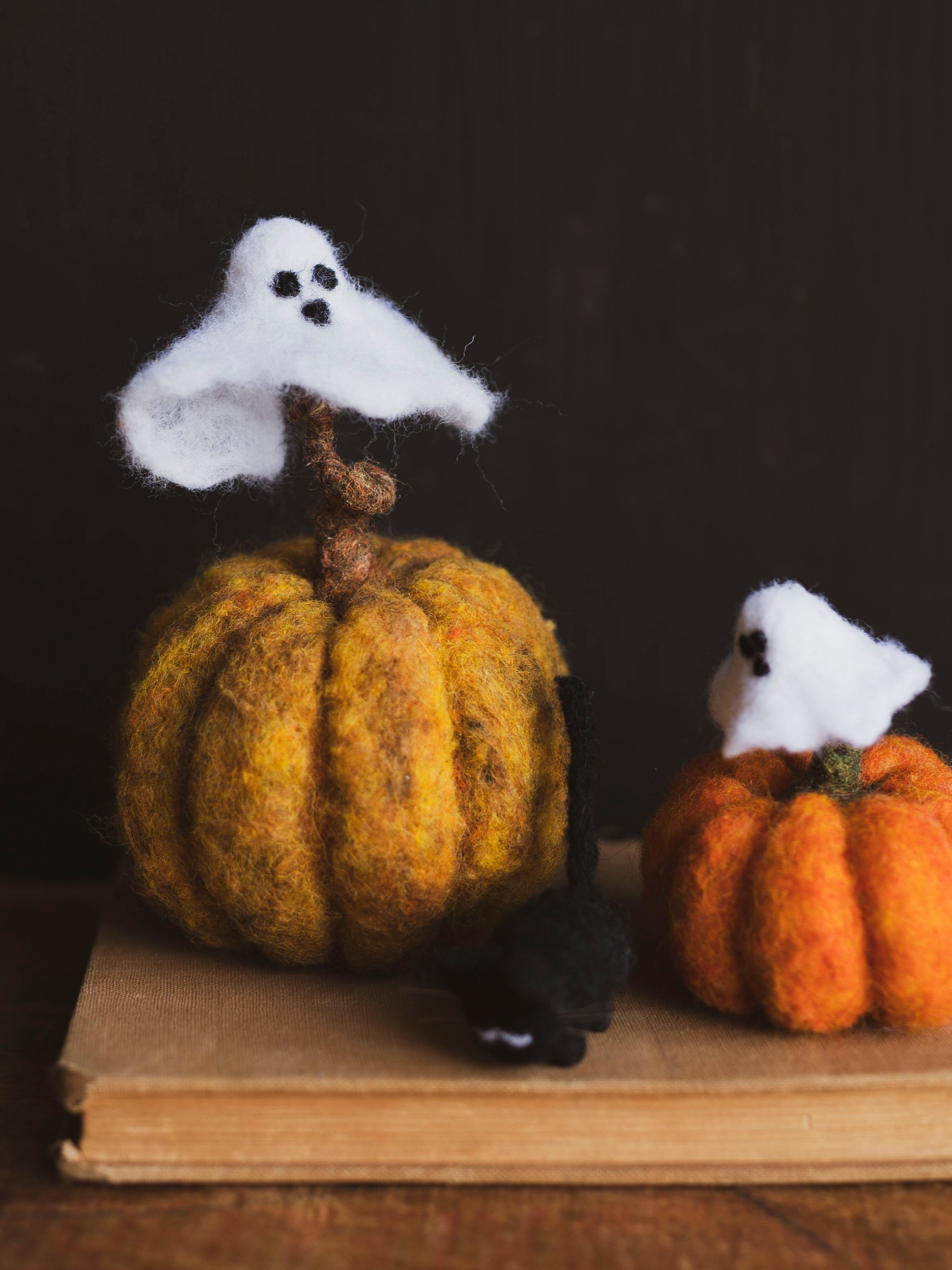 October 25th Spooky Needle Felting Class, CE1025