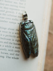 Carved Labradorite Cicada Pendant, CA254