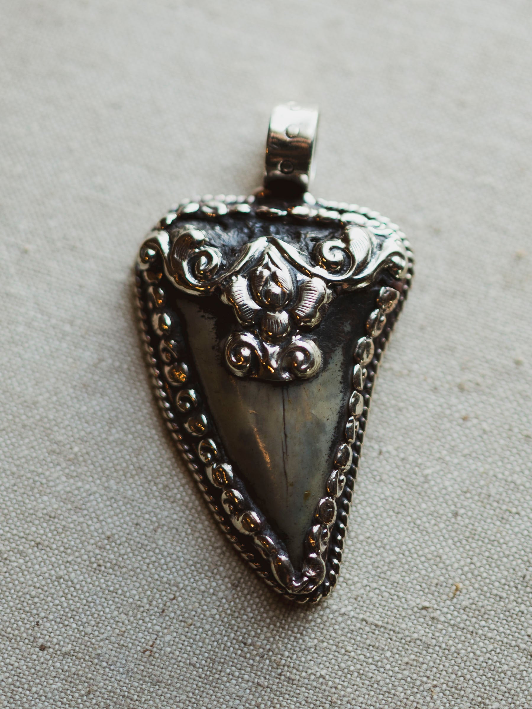 Ornate Silver Fossilized Megalodon Tooth Pendant, CA143