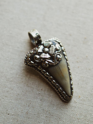 Ornate Silver Fossilized Megalodon Tooth Pendant, CA143