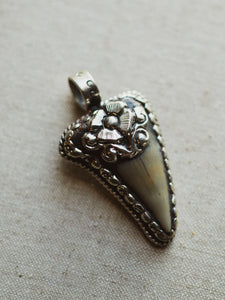 Ornate Silver Fossilized Megalodon Tooth Pendant, CA143