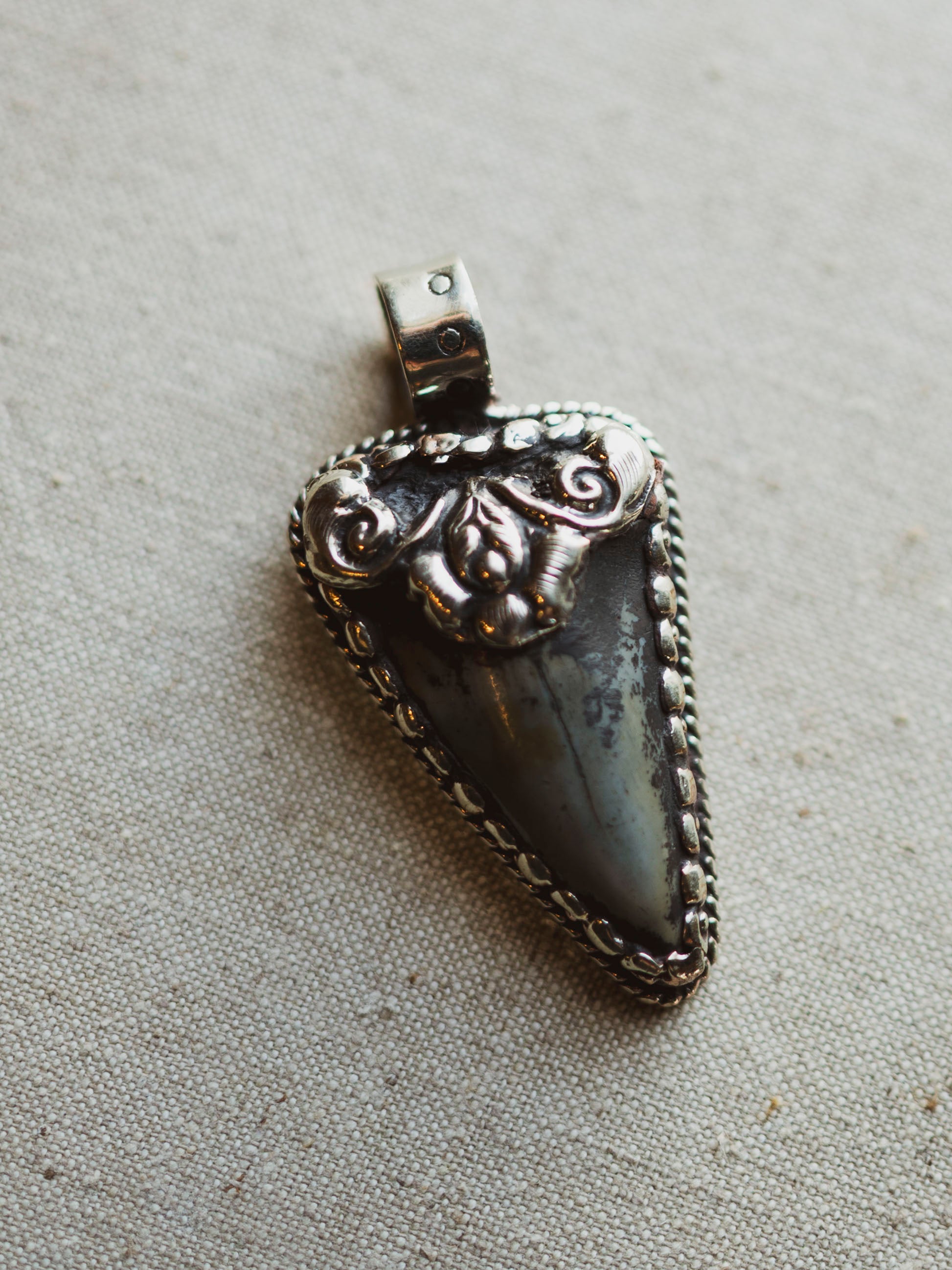 Ornate Silver Fossilized Megalodon Tooth Pendant, CA143
