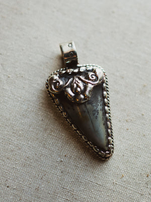 Ornate Silver Fossilized Megalodon Tooth Pendant, CA143