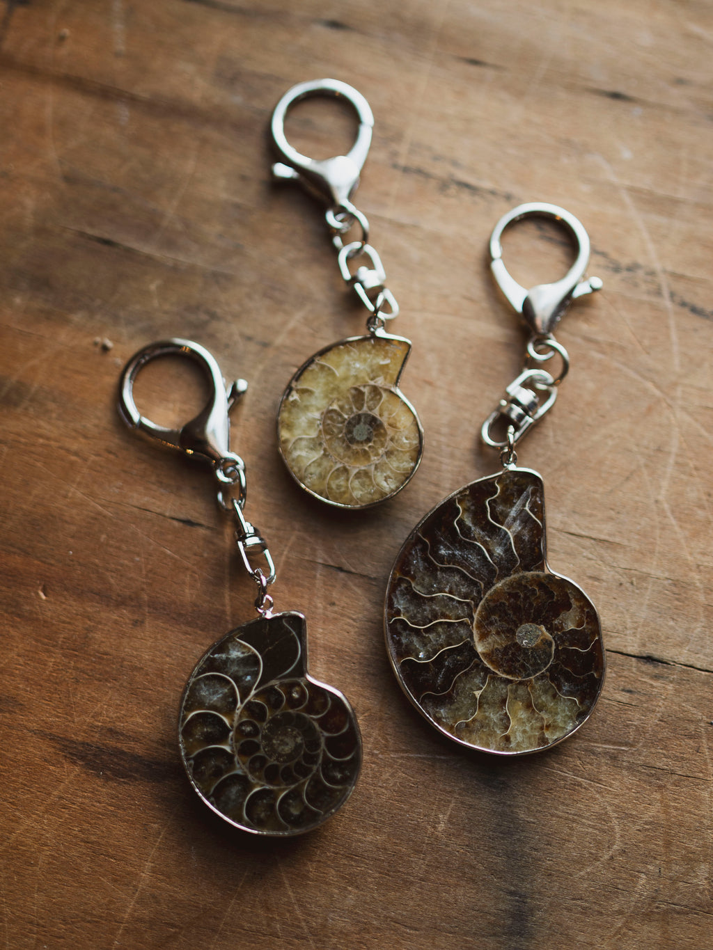 Fossilized Ammonite Keychain, CA118