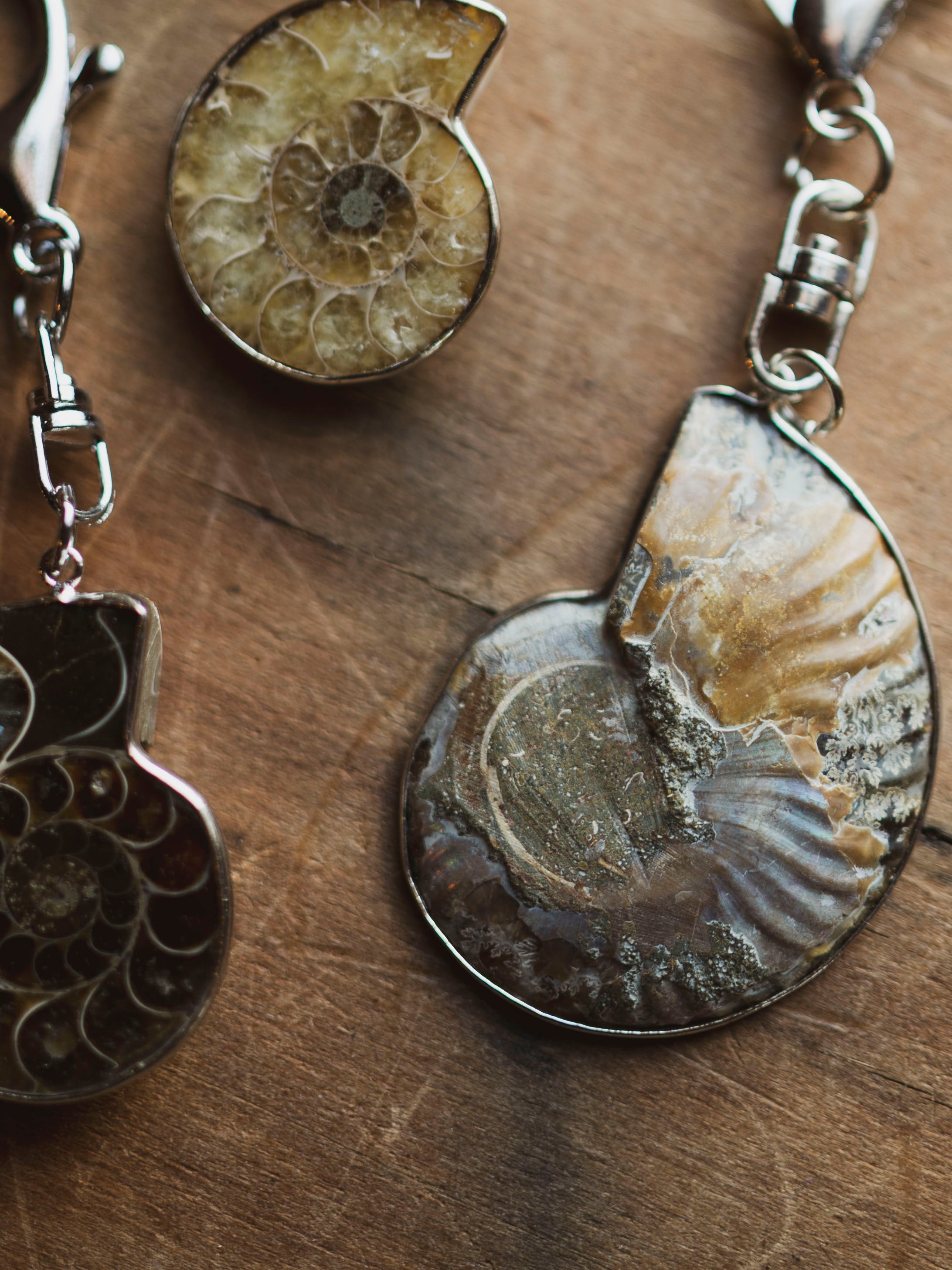 Fossilized Ammonite Keychain, CA118
