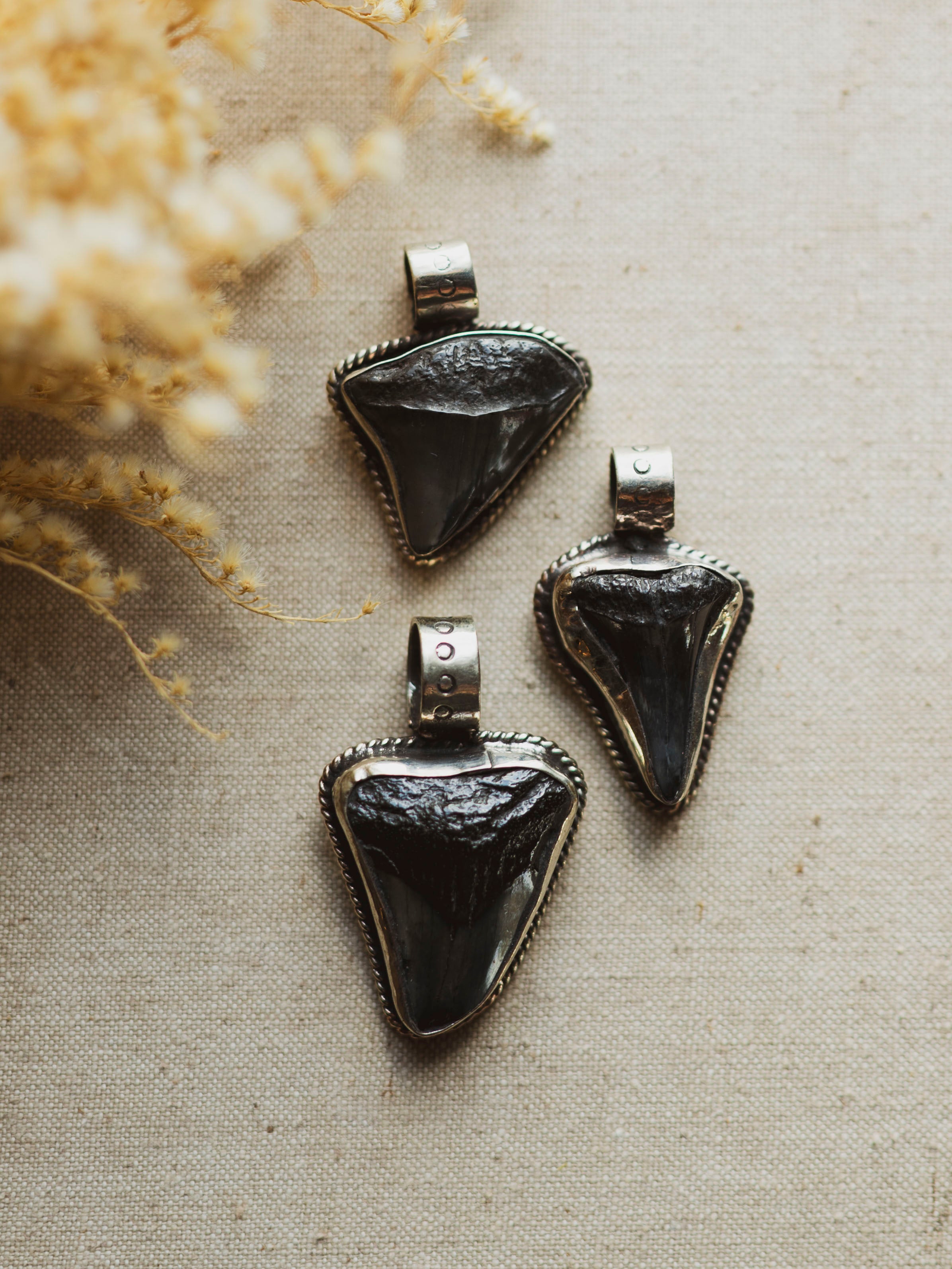 Silver  Fossilized Megalodon Tooth Pendant, CA135