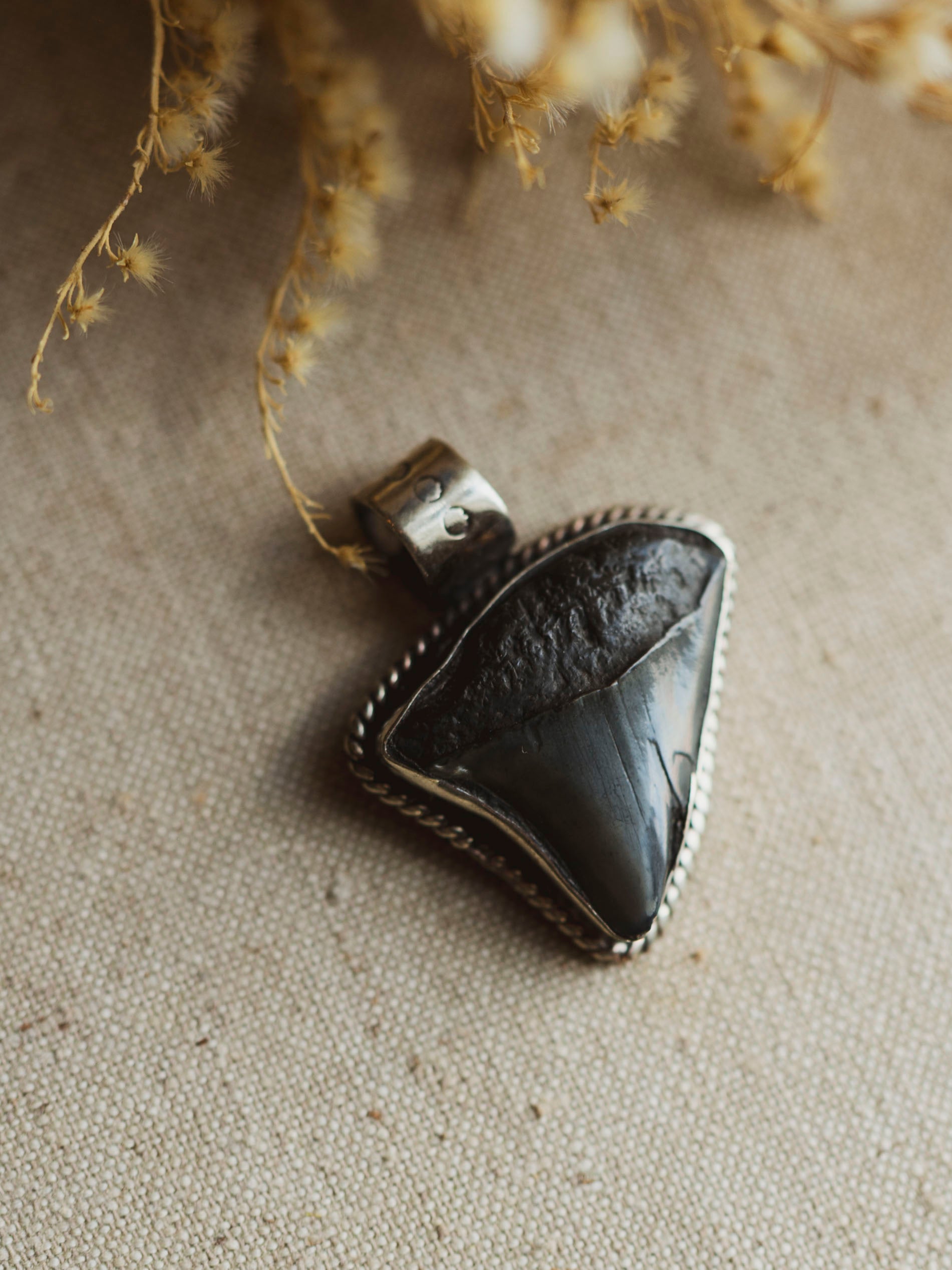 Silver  Fossilized Megalodon Tooth Pendant, CA135