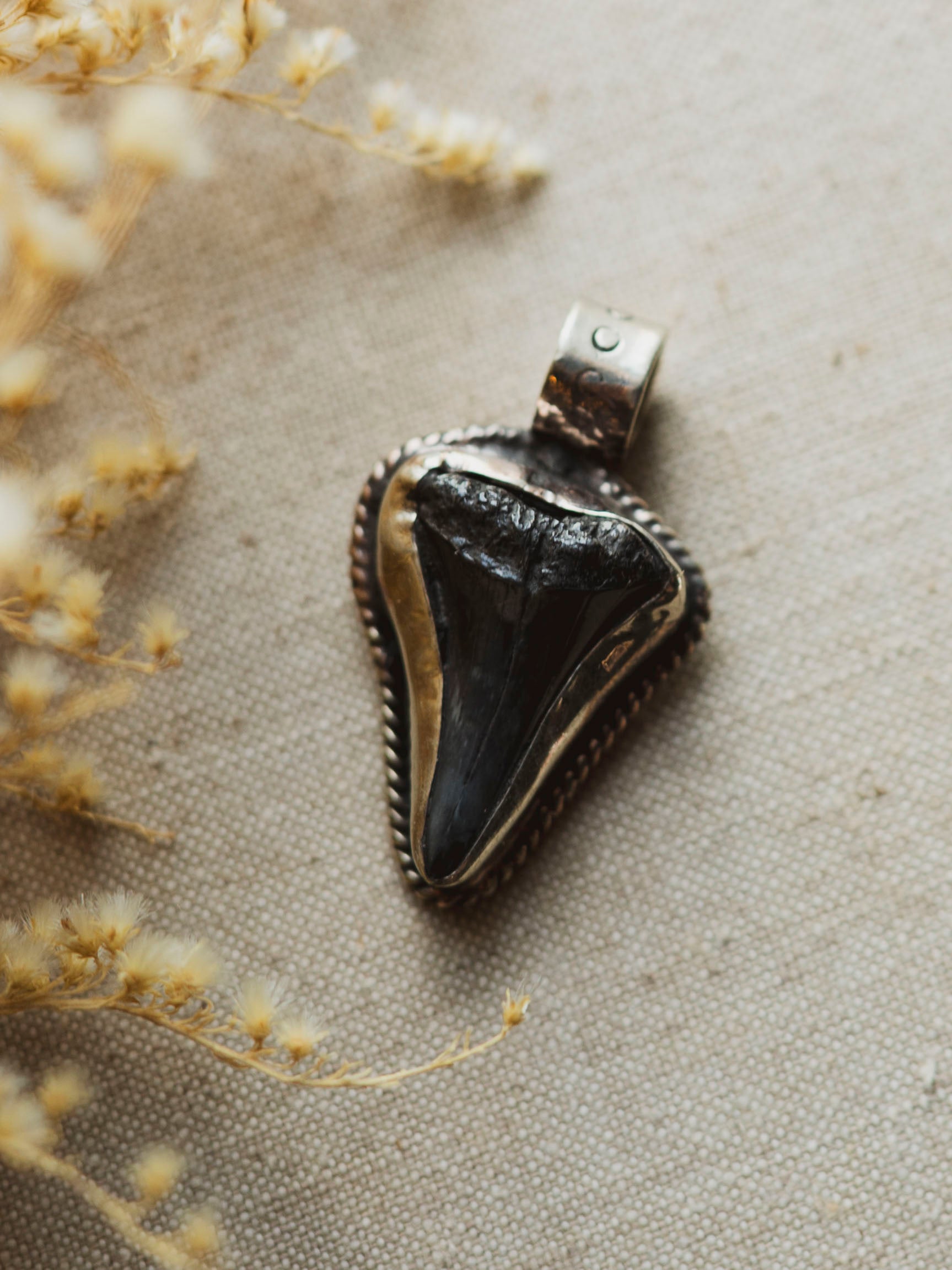 Silver  Fossilized Megalodon Tooth Pendant, CA135