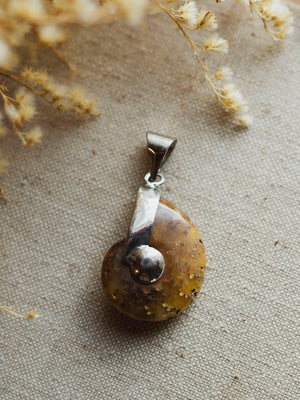 Whole Ammonite Pendant, CA27