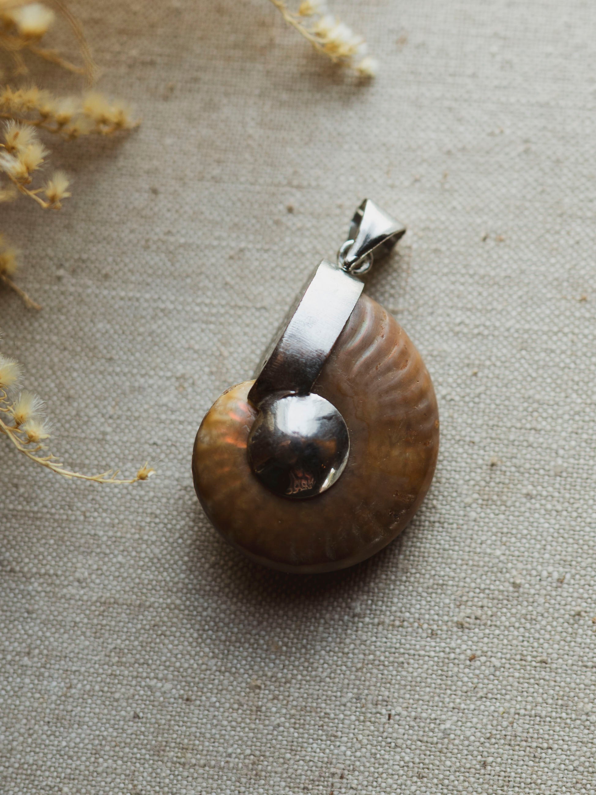 Whole Ammonite Pendant, CA27