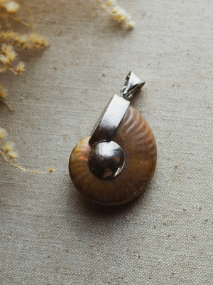 Whole Ammonite Pendant, CA27