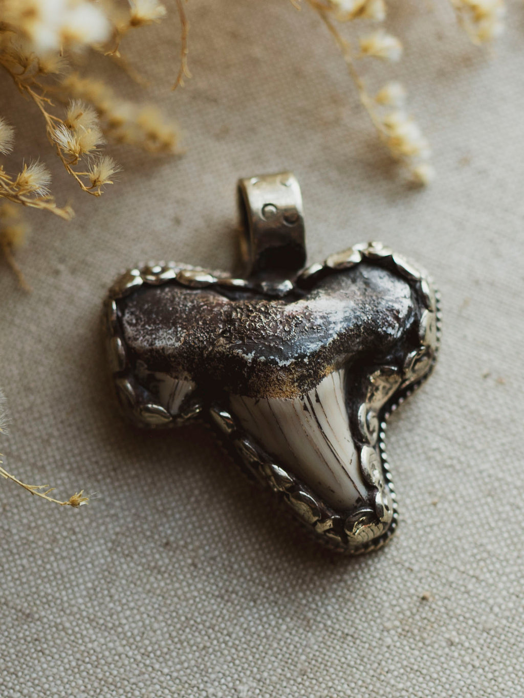 Ornate Silver Fossilized Otodus Shark Tooth Pendant, CA136