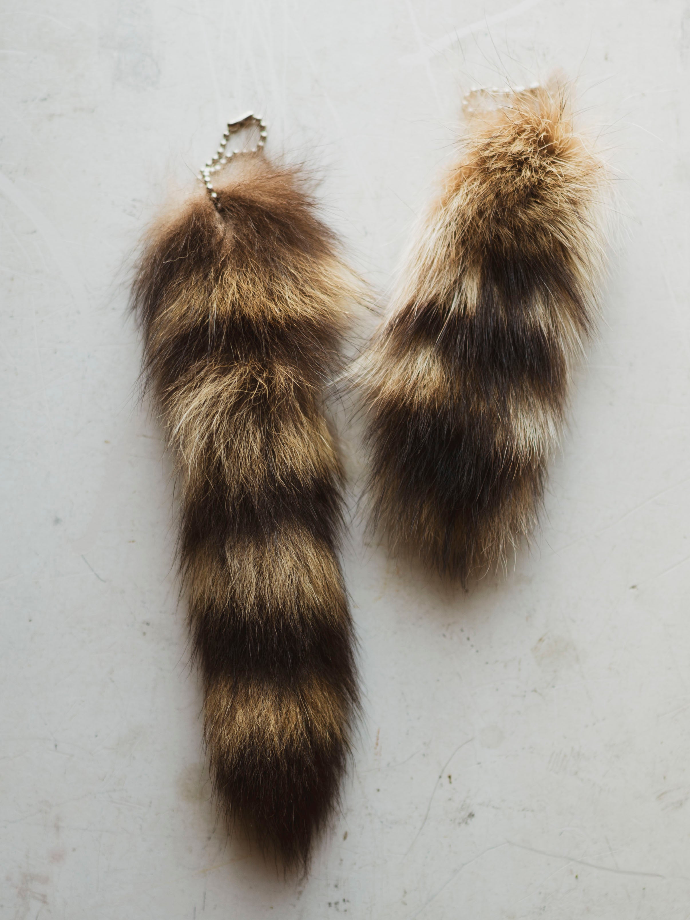 Raccoon Tail Keychain, CA928