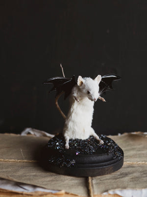 October 31st Halloween Mouse Taxidermy Class, CE1031