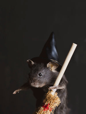 October 31st Halloween Mouse Taxidermy Class, CE1031