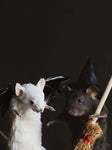 October 31st Halloween Mouse Taxidermy Class, CE1031