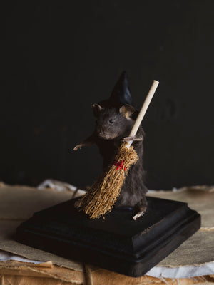 October 31st Halloween Mouse Taxidermy Class, CE1031