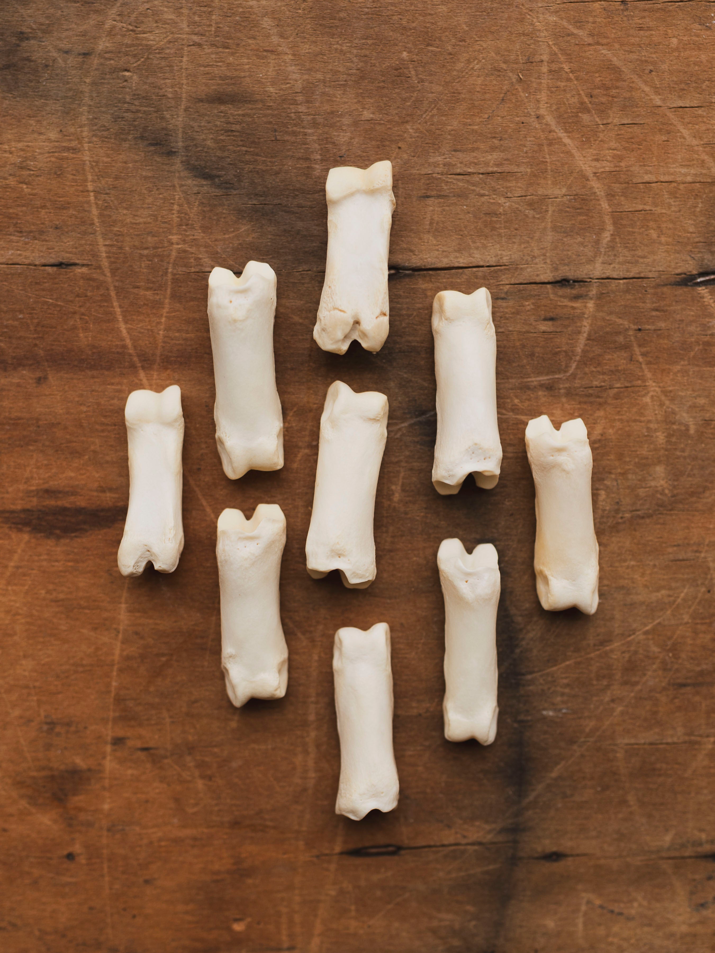 Goat Toe Bone, SB648
