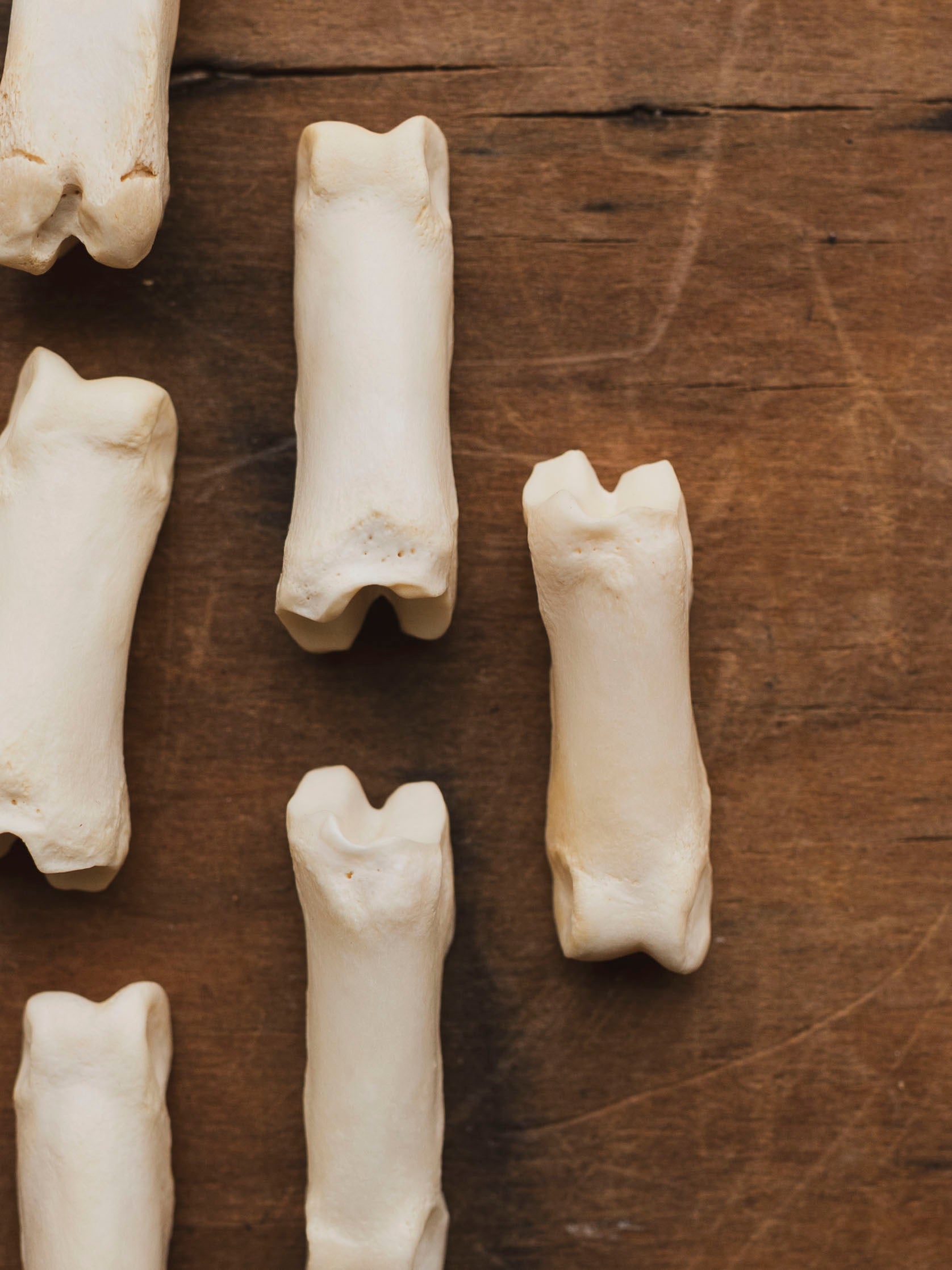 Goat Toe Bone, SB648