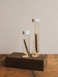 Jarred Wet Specimen Centipede, WS75