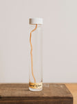 Jarred Wet Specimen Round Worm, WS76