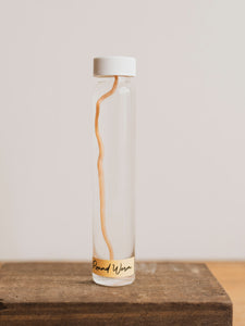 Jarred Wet Specimen Round Worm, WS76