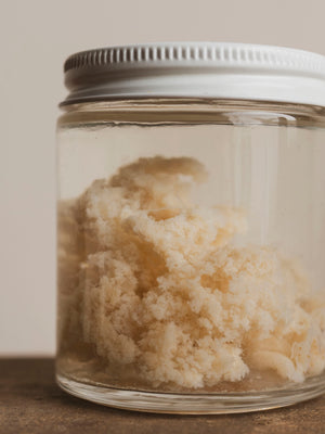 Jarred Wet Specimen Moon Jellyfish, WS70