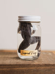 Jarred Wet Specimen Leopard Frog, WS59