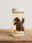 Jarred Wet Specimen Grasshopper, WS50