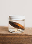 Clam Wet Specimen, WS60
