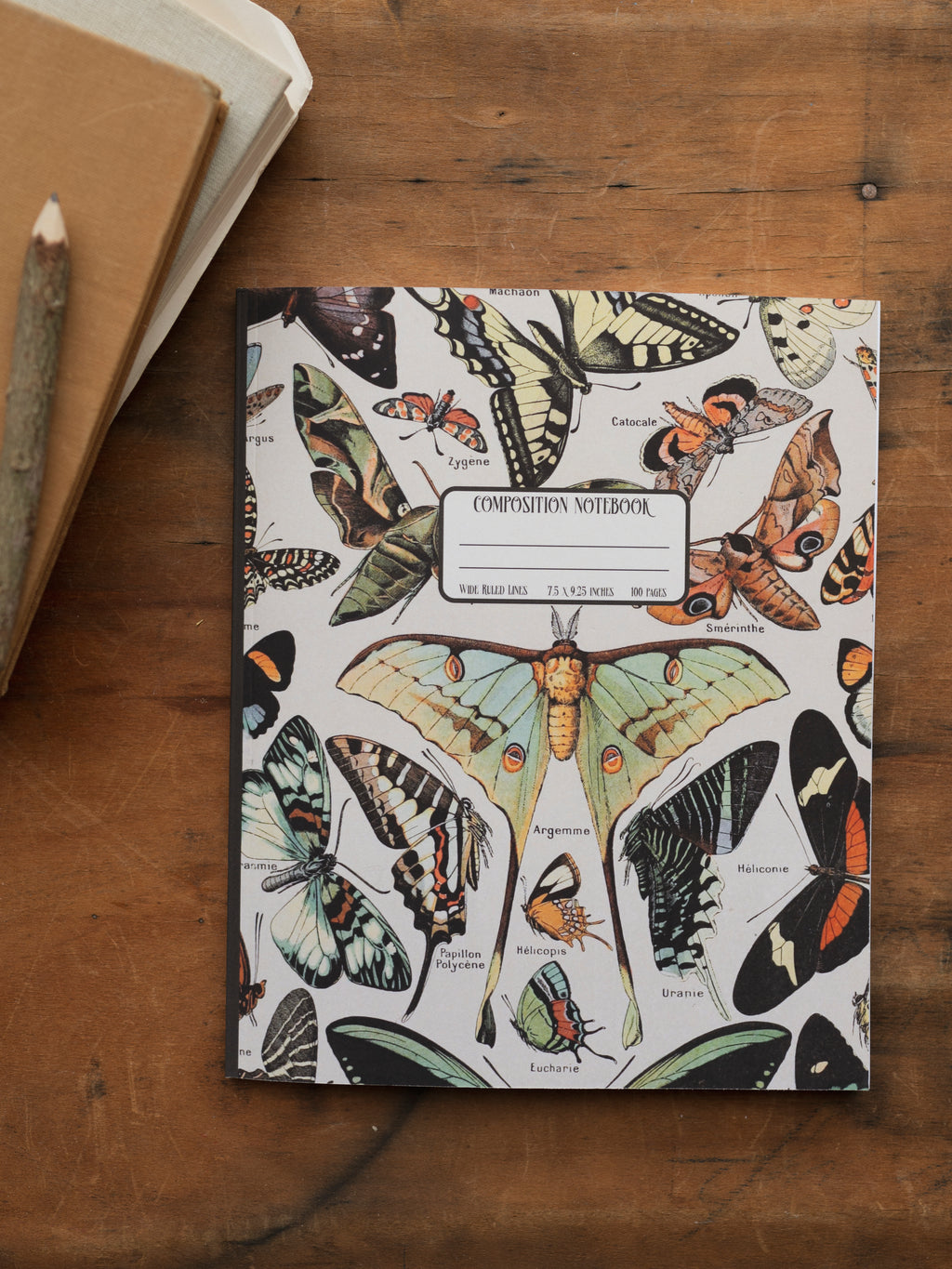 Natural History Composition Notebook, ST5