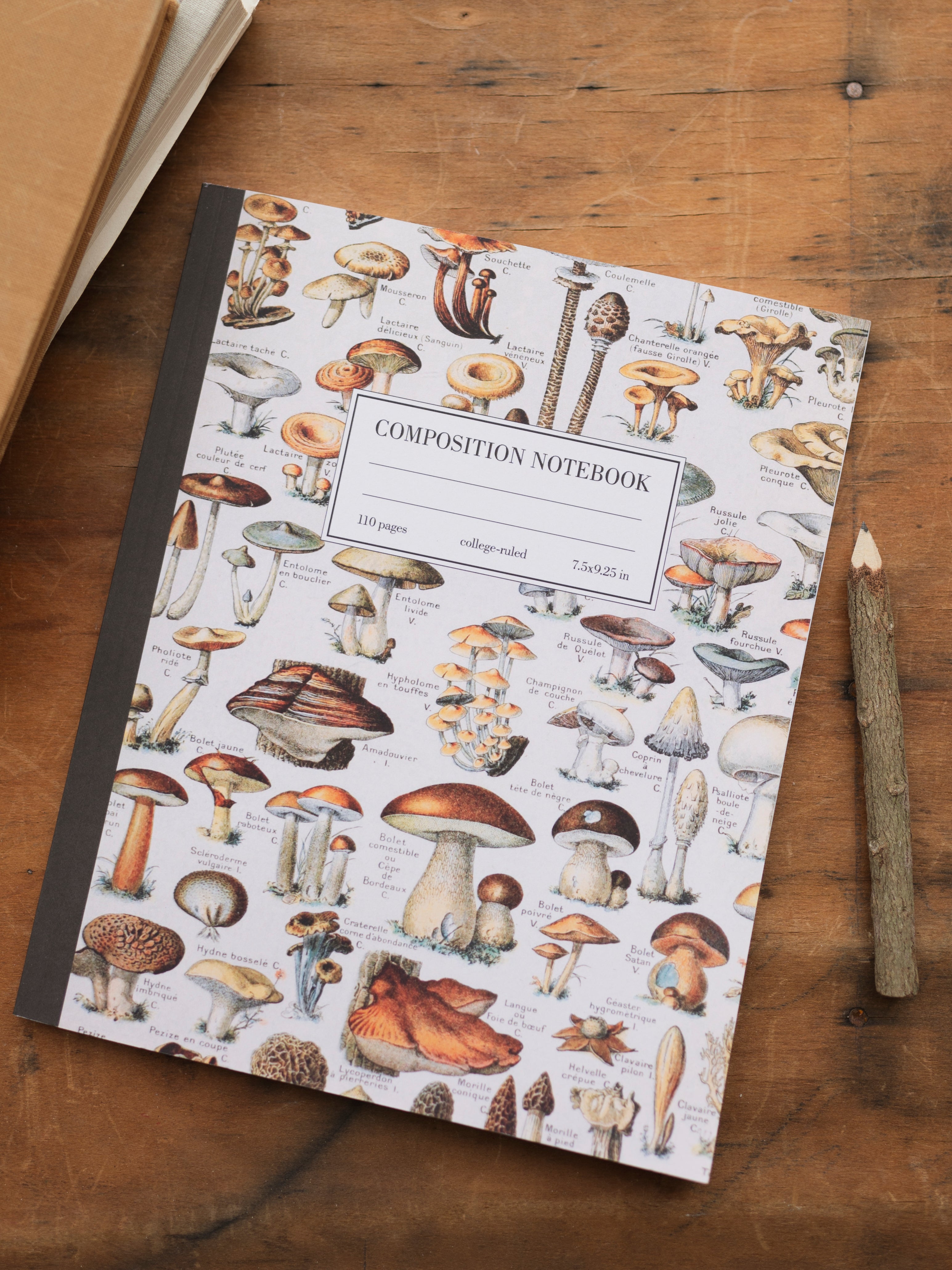 Natural History Composition Notebook, ST5