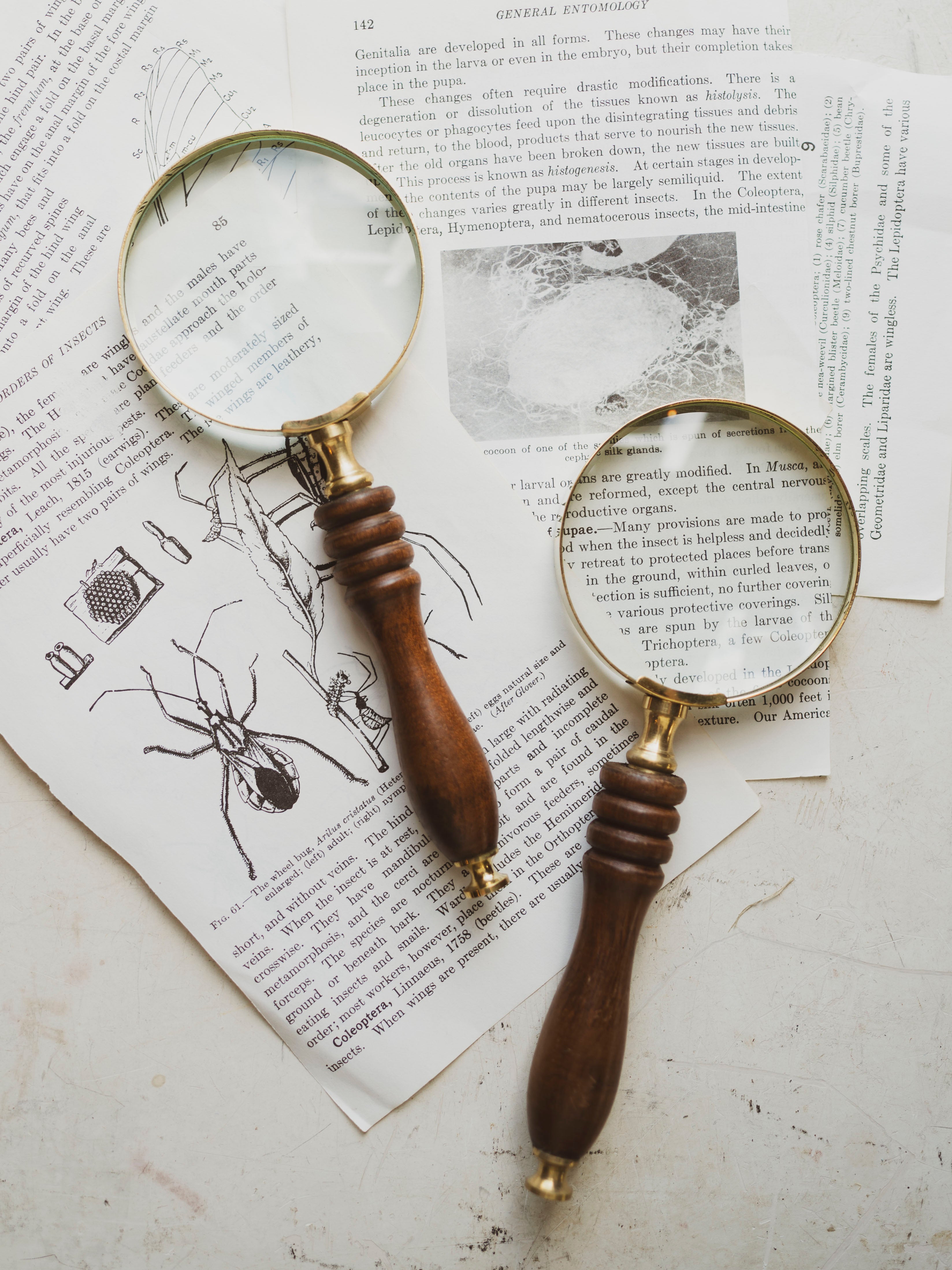 Brass Magnifying Glass with Wood Handle, HD28