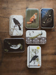 Tin box, HD10