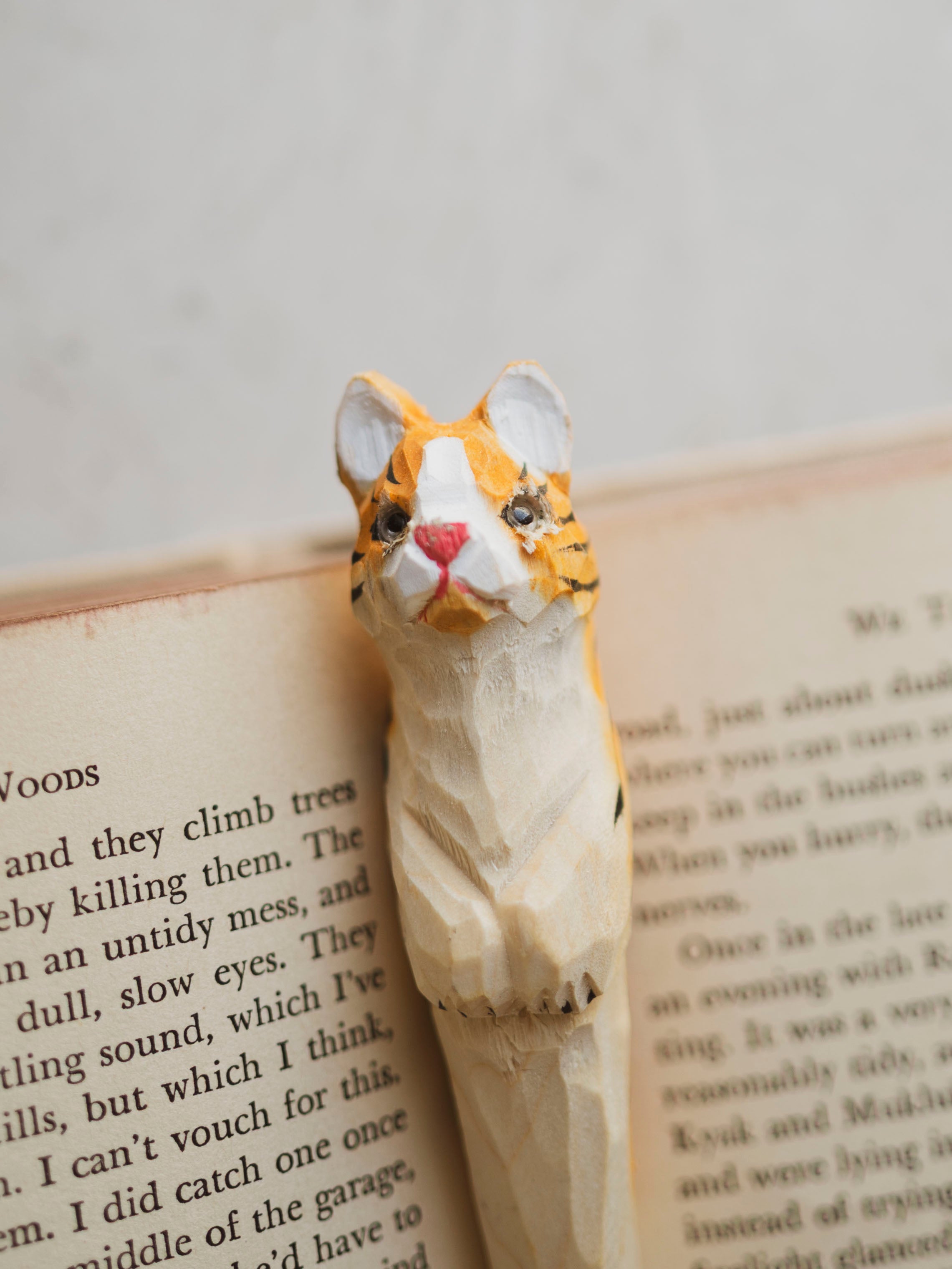 Carved Wooden Animal Pen, ST01