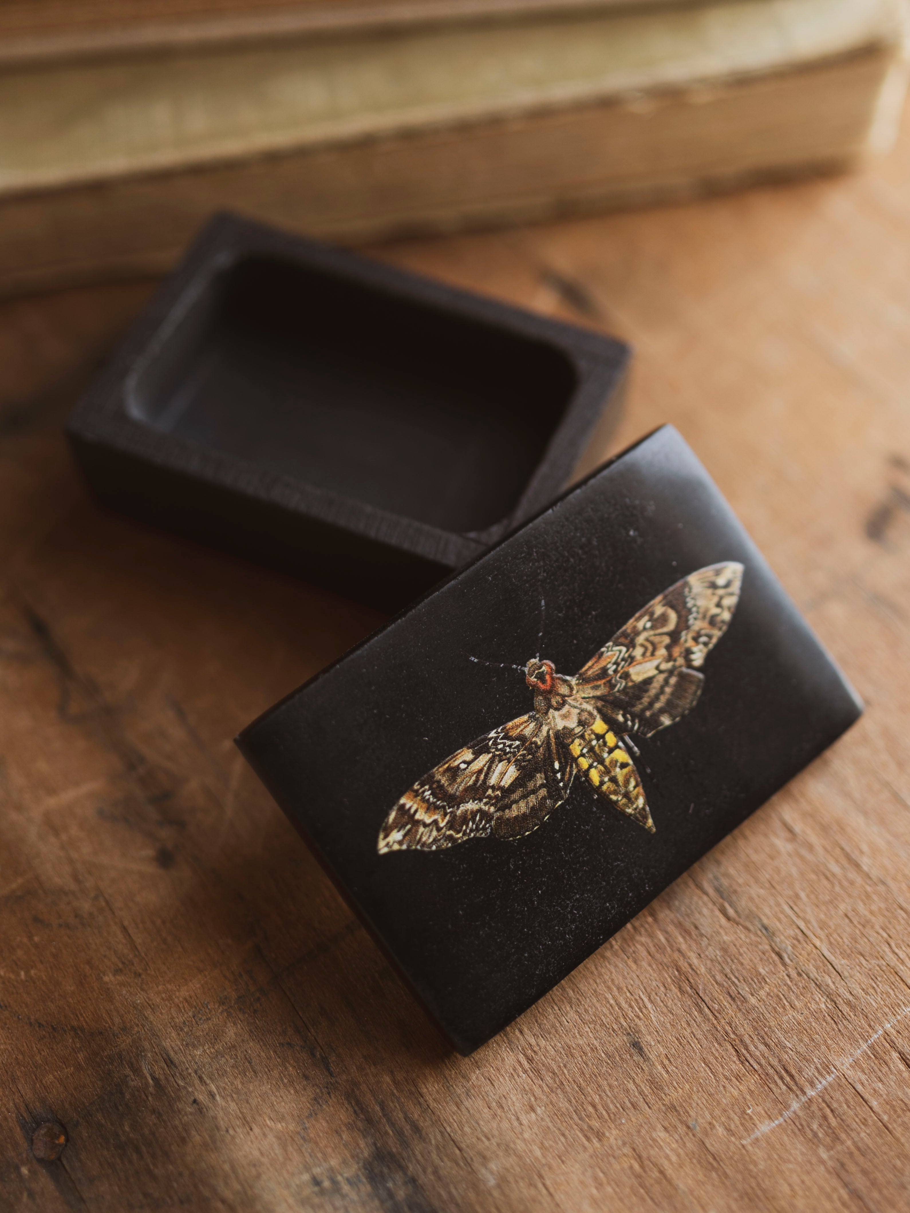 Black Moth Soapstone Box, HD1353