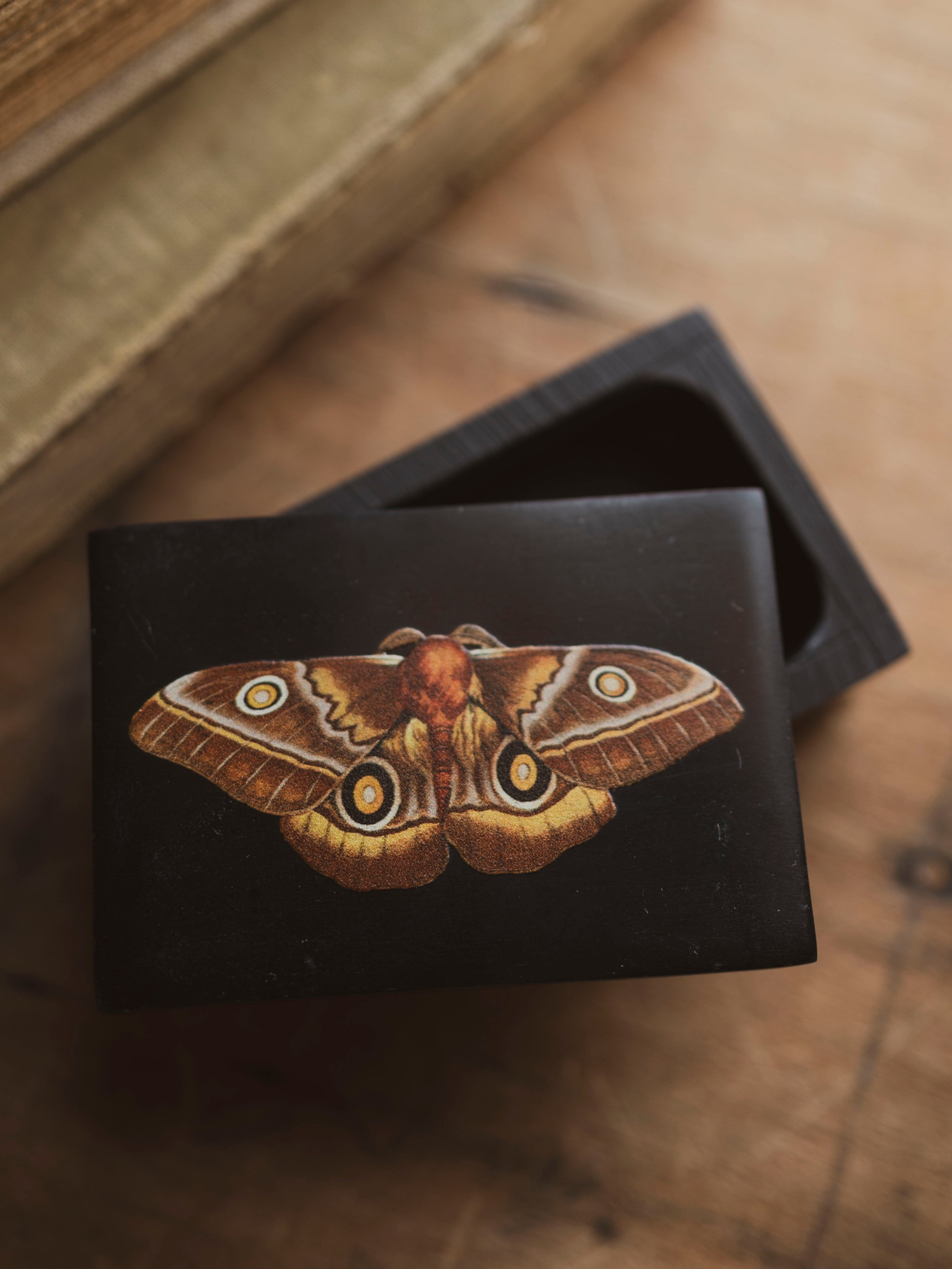 Black Moth Soapstone Box, HD1353