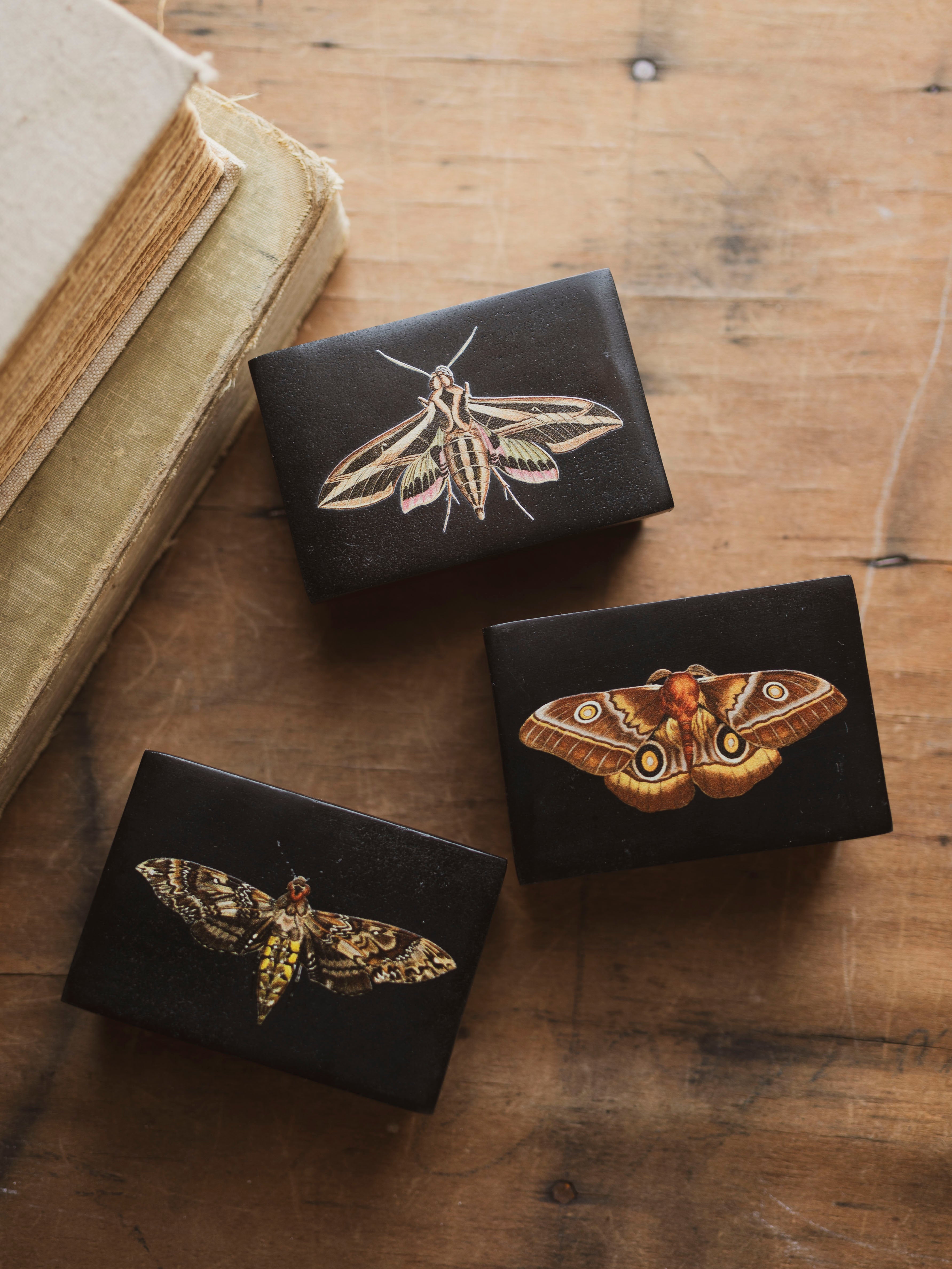 Black Moth Soapstone Box, HD1353