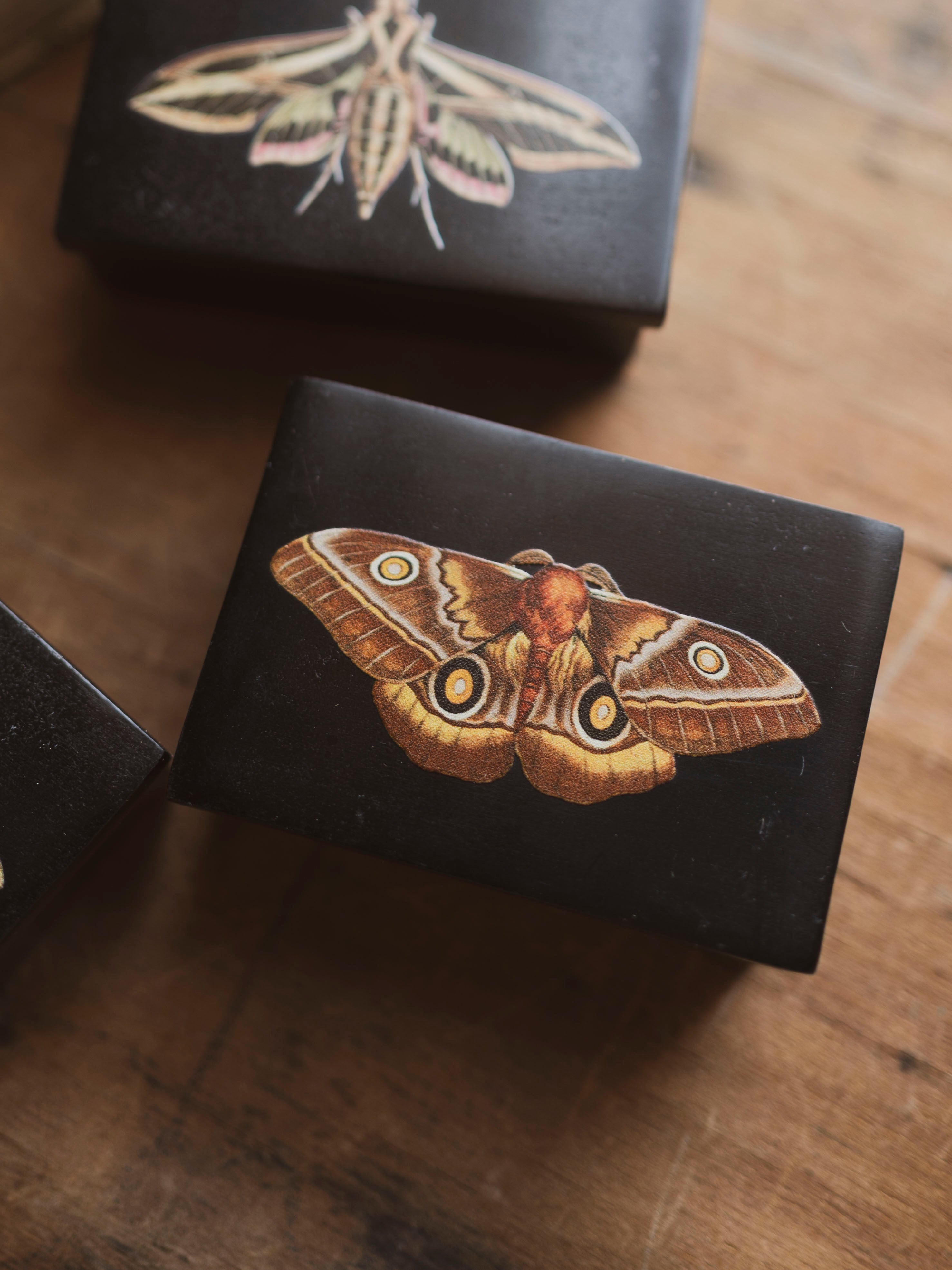 Black Moth Soapstone Box, HD1353