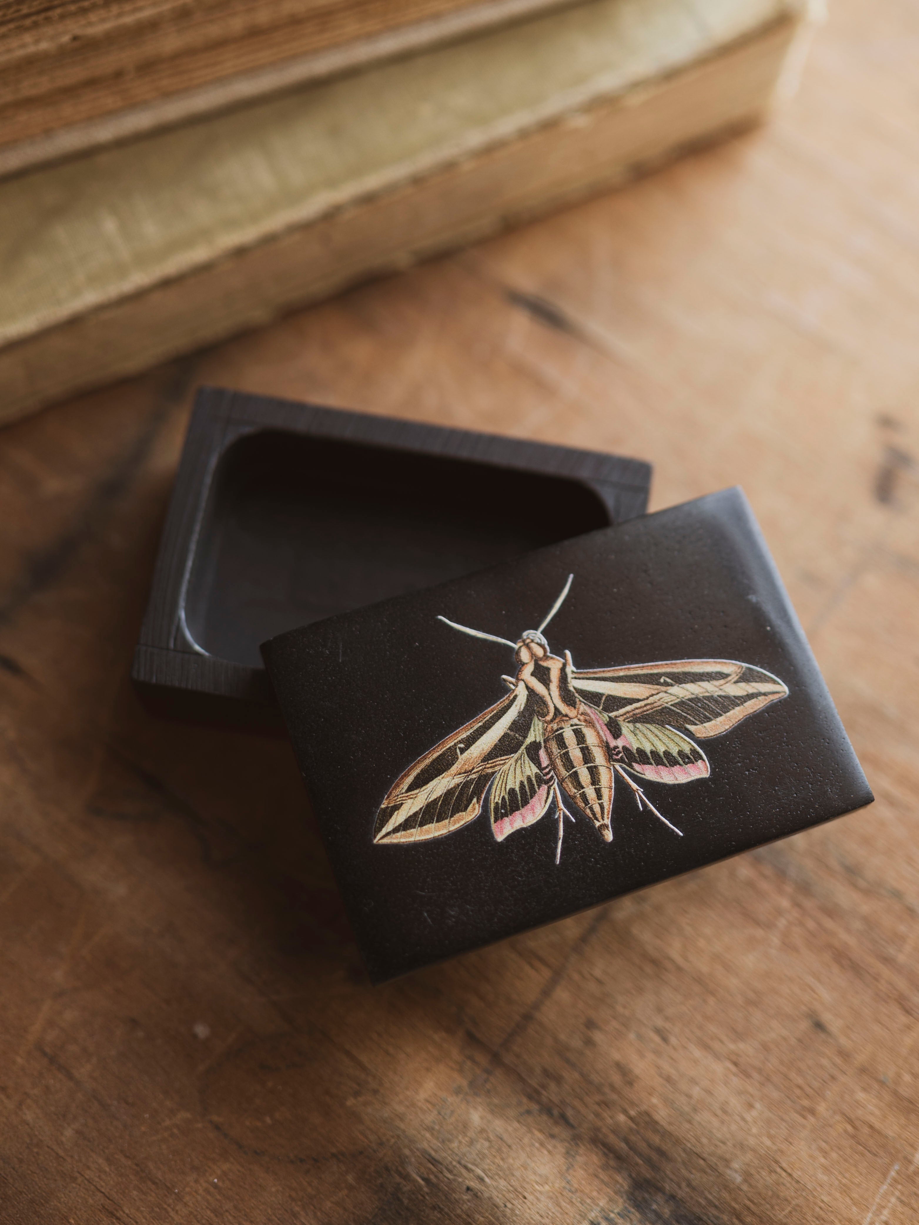 Black Moth Soapstone Box, HD1353