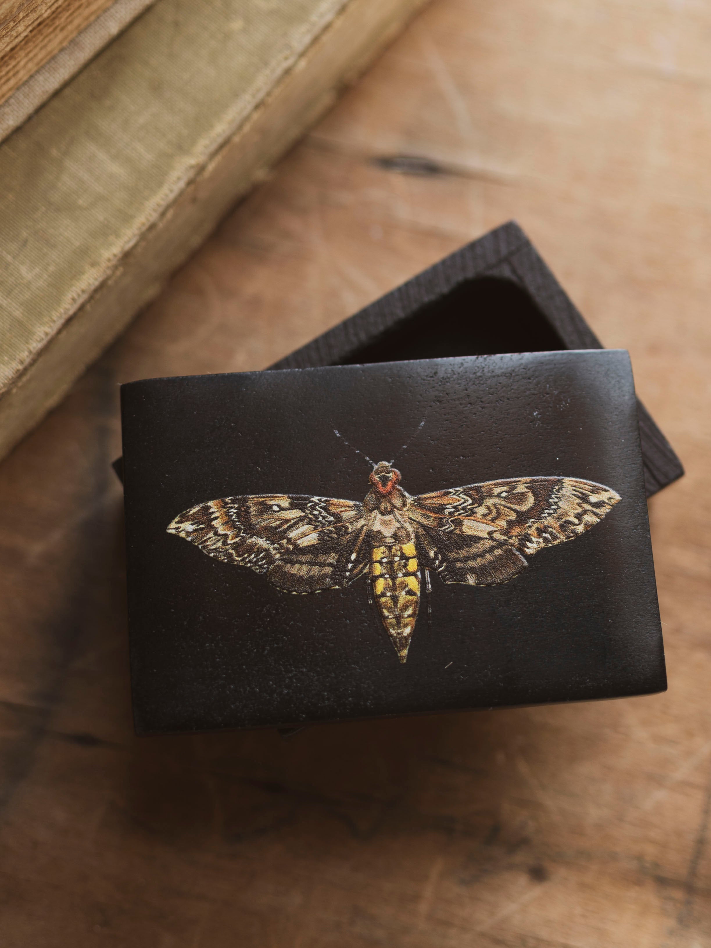 Black Moth Soapstone Box, HD1353